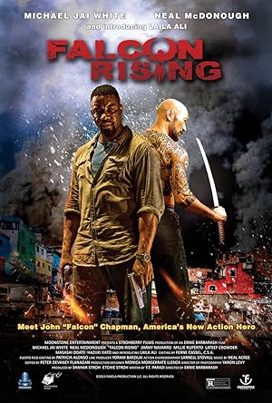 Falcon Rising (2014) Hindi Dubbed