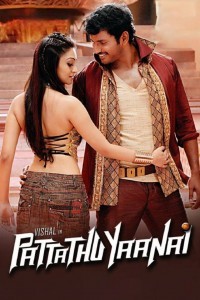 Pattathu Yaanai (2013) Hindi Dubbed